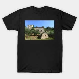 Abandoned Stone Farmhouse T-Shirt